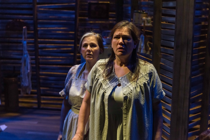 Review: CICADA at Theatre Memphis 
