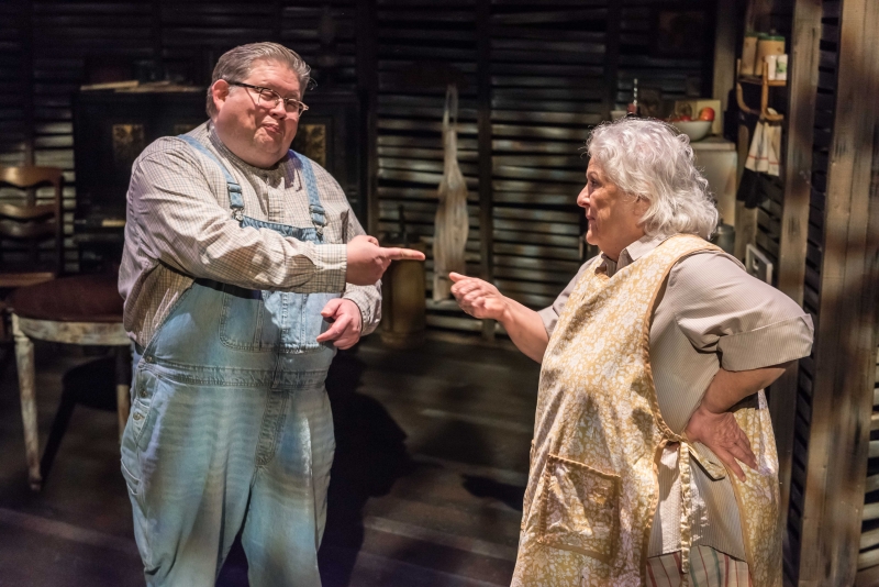 Review: CICADA at Theatre Memphis  Image