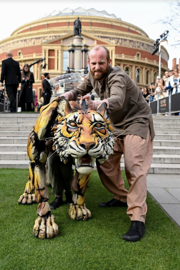 Richard Parker the Tiger from Life of Pi opening the Green Carpet for the Olivier Awa Photo