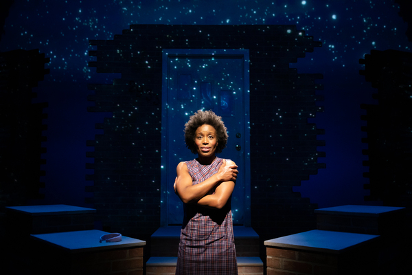 Photos: First Look at QUEENS GIRL IN THE WORLD New York Premiere Image