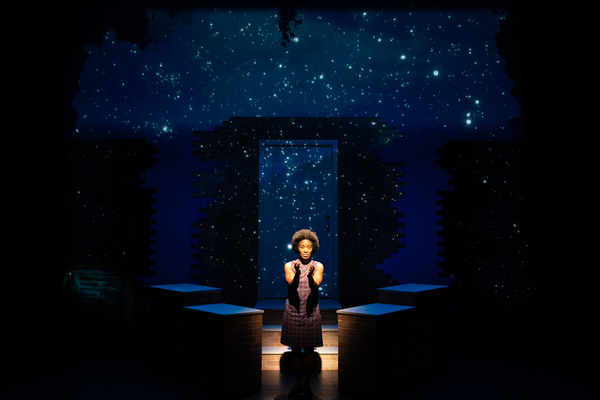 Photos: First Look at QUEENS GIRL IN THE WORLD New York Premiere Image