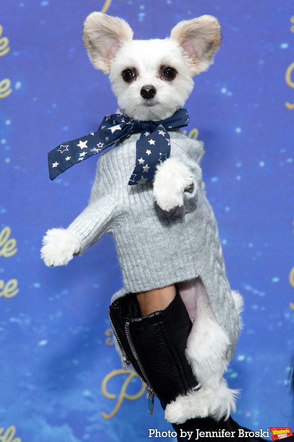 Photos: On the Opening Night Red Carpet For THE LITTLE PRINCE Image