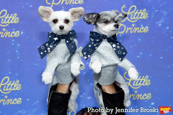 Photos: On the Opening Night Red Carpet For THE LITTLE PRINCE Image