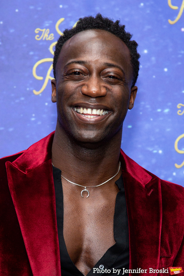 Photos: On the Opening Night Red Carpet For THE LITTLE PRINCE Image