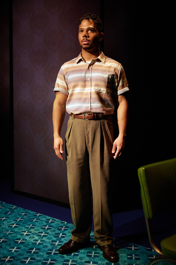 Photos: Mary-Louise Parker, David Morse & More in HOW I LEARNED TO DRIVE Image