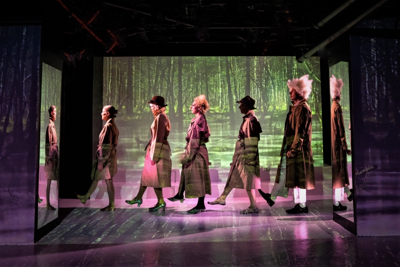 Review: COSMICOMICS at The New Stage Theatre Image