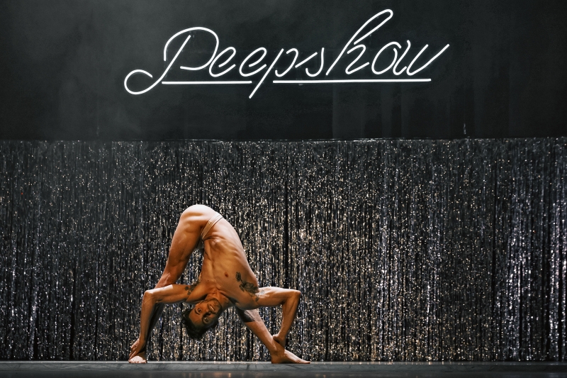 Review: Guest Reviewer Kym Vaitiekus Shares His Thoughts On CIRCA'S PEEPSHOW Image