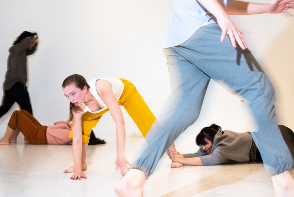 Photos: The Neighbors Present Intimacy And Movement Workshop Of THE CHICKENS HAVE COME HOME TO ROOST Image