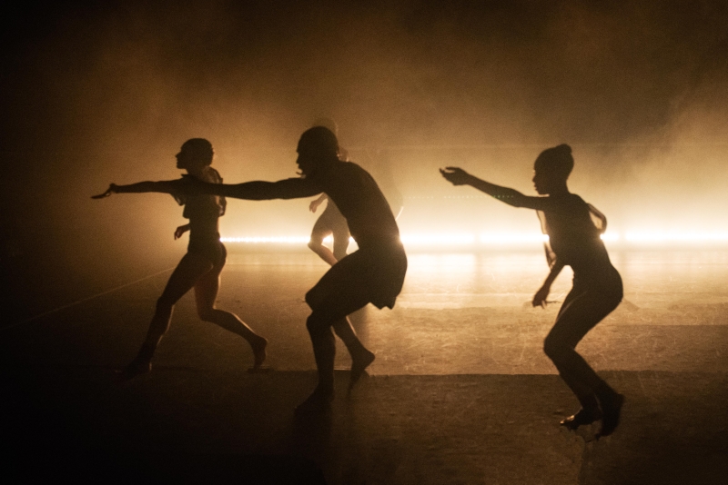 BWW Review: GALLIM Dance Company's BLUSH is Anything But Shy 