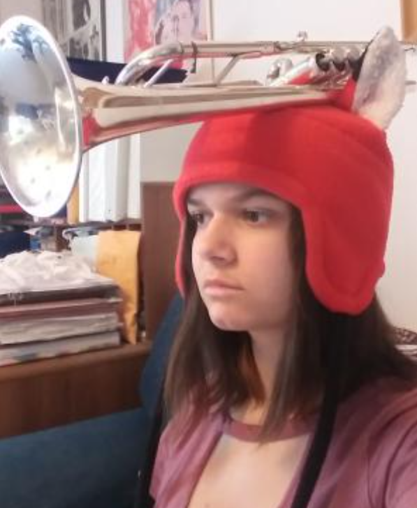 Student Blog: Rolling With The Roller Coaster - Storybook Edition Image