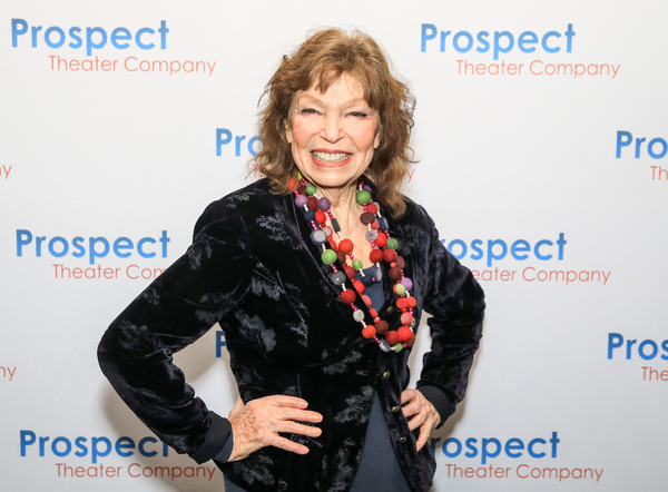 Photos: See Jose Llana, Anika Larsen & More at Prospect Theater Company's Spring Gala Image