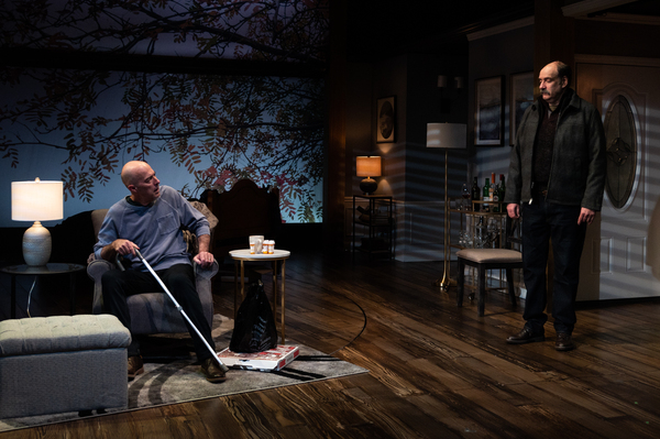 Photos: First Look at OUR BROTHER'S SON at the Pershing Square Signature Center Image