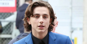 Timothée Chalamet's West End Stage Debut in 4000 MILES Cancelled At London's Old Vic Photo
