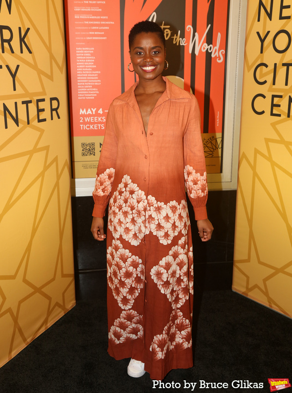Photos: INTO THE WOODS Celebrates Opening Night Gala at Encores! Image