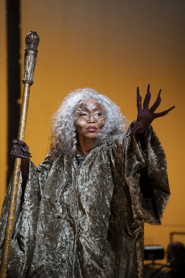 Photos: First Look at Heather Headley, Sara Bareilles & More in Encores! INTO THE WOODS Image