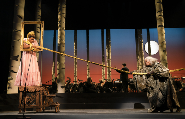 Photos: First Look at Heather Headley, Sara Bareilles & More in Encores! INTO THE WOODS Image