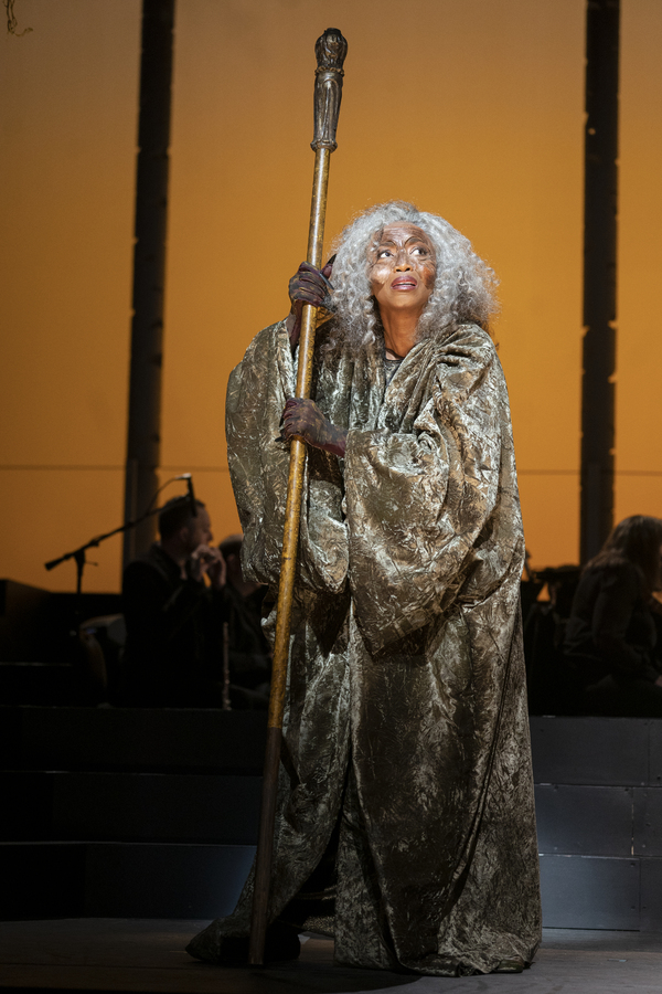 Photos: First Look at Heather Headley, Sara Bareilles & More in Encores! INTO THE WOODS Image