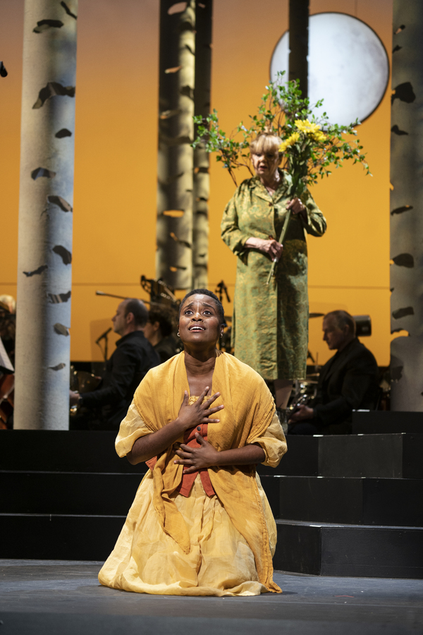 Photos: First Look at Heather Headley, Sara Bareilles & More in Encores! INTO THE WOODS Image