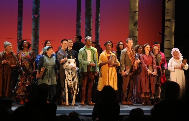 Encores! INTO THE WOODS Will Transfer to Broadway This Summer with Some Starry New Cast Members! 
