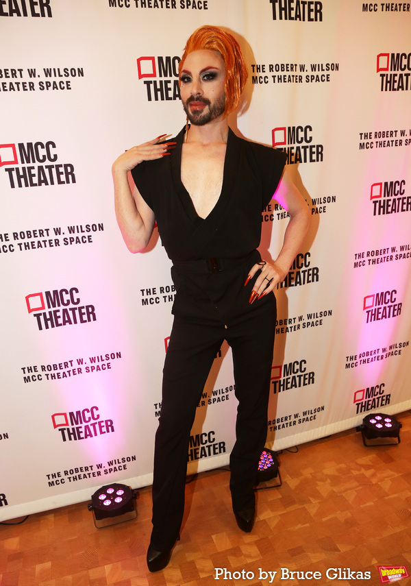 Photos: On the Red Carpet for Opening Night of MCC's WHICH WAY TO THE STAGE Image