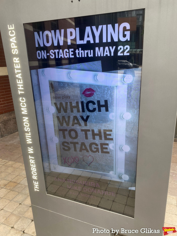 Photos: On the Red Carpet for Opening Night of MCC's WHICH WAY TO THE STAGE Image