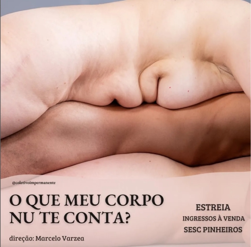 BWW Previews: Dealing with Universal Themes COLETIVO IMPERMANENTE Premieres O QUE MEU CORPO NU TE CONTA? Image