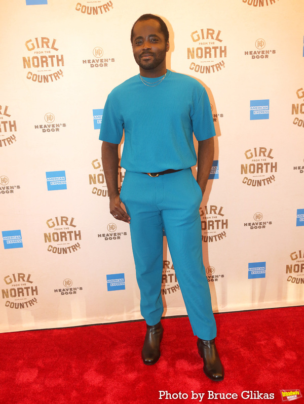 Photos: On the Red Carpet of GIRL FROM THE NORTH COUNTRY Re-Opening Night Gala Image