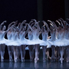 BWW Review: PACIFIC NORTHWEST BALLET'S “SWAN LAKE” RETURNS TO THE STAGE at McCaw Hall
