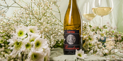 LURETTA Italian Wines – Discover Traditional and New Expressions Photo