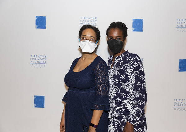 Photos: See Julie Taymor, Awoye Timpo & More at TFANA's Spring Gala Image