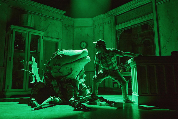 Photos: First Look at Skylar Astin as 'Seymour' in LITTLE SHOP OF HORRORS Image