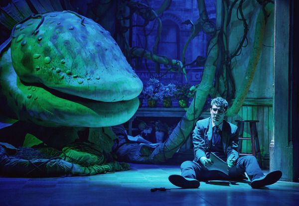 Photos: First Look at Skylar Astin as 'Seymour' in LITTLE SHOP OF HORRORS Image