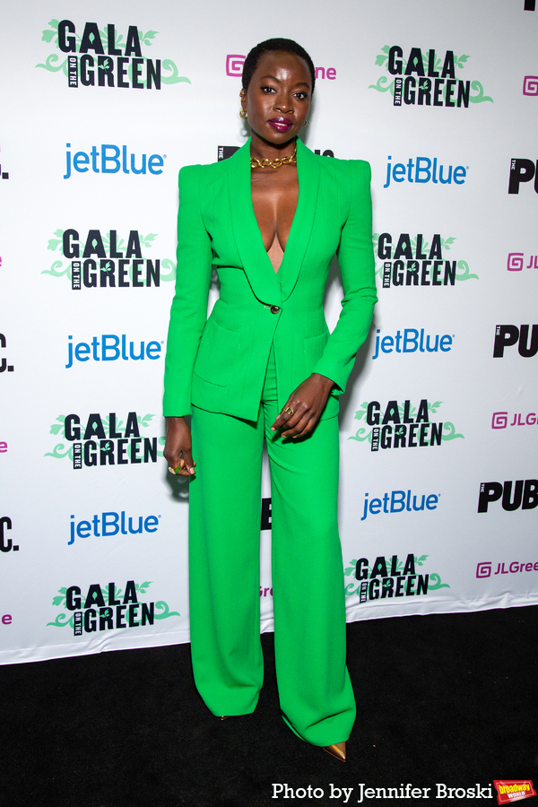 Photos: On the Red Carpet at the Public Theater's GALA ON THE GREEN Image