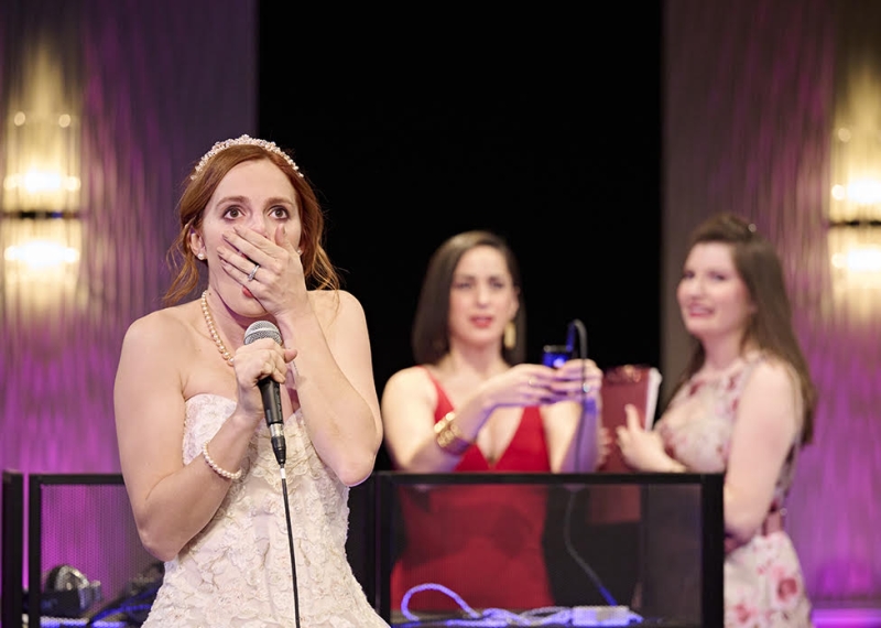 Review: ZOEY'S PERFECT WEDDING at TheaterWorks Hartford Image