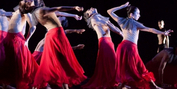 Polish National Ballet and Dutch National Ballet Will Co-Produce THE TEMPEST / HAMBURG Nex Photo