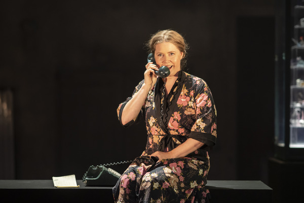 Photos: First Look at Amy Adams and More in THE GLASS MENAGERIE Image
