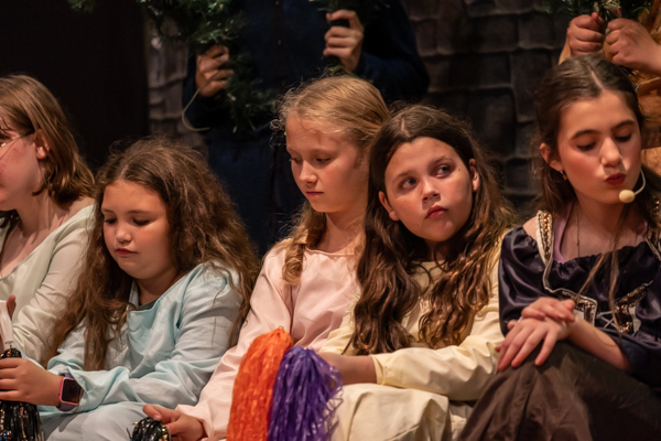 Photos: First look at Rise Up Youth Theatre's THE SOMEWHAT TRUE TALE OF ROBIN HOOD Image