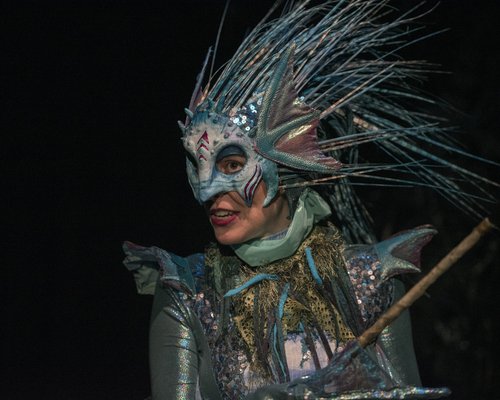 Review: UNDER THE SEA WITH DREDGIE MCGEE at 1st Stage Image