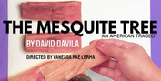 Teatro Audaz Presents David Davila's THE MESQUITE TREE Photo