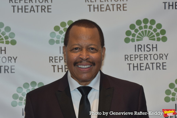 Photos: On the Red Carpet at the Irish Repertory Theatre Gala Image