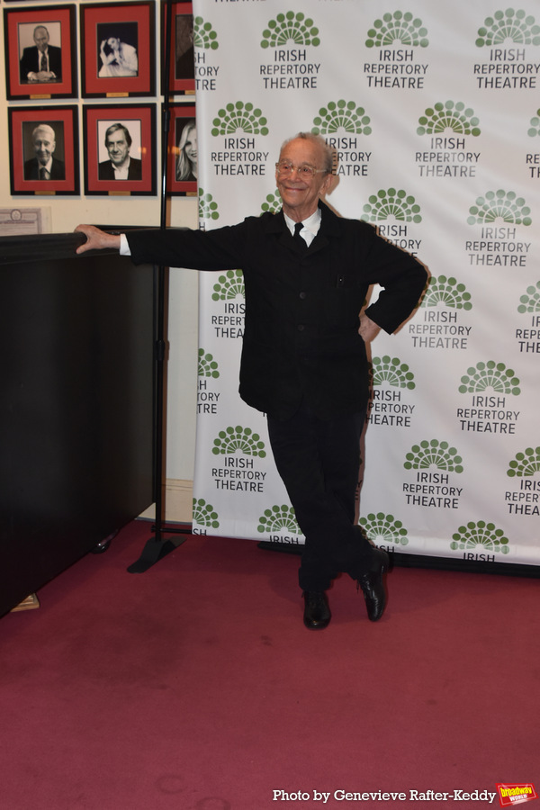 Photos: On the Red Carpet at the Irish Repertory Theatre Gala Image