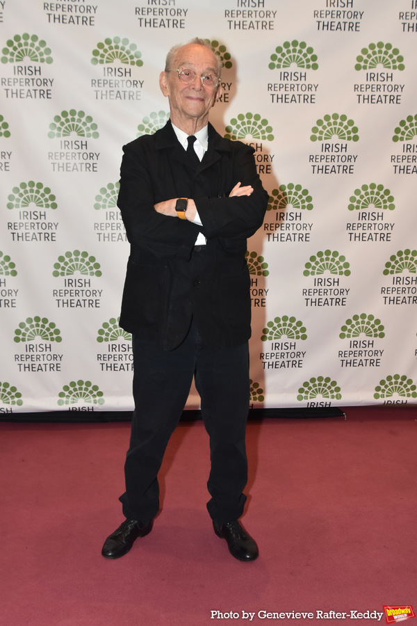 Photos: On the Red Carpet at the Irish Repertory Theatre Gala Image