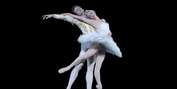 BWW Review: SWAN LAKE Soars in New National Ballet of Canada Production Photo