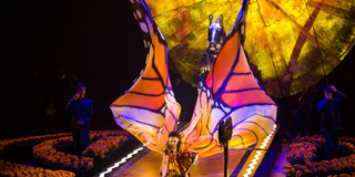 Cirque du Soleil Brings LUZIA to Zurich in September Photo