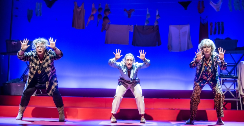 Feature: HUISVROUWEN BESTAAN NIET KOMEND THEATERSEIZOEN TOCH NOG TE ZIEN! Image