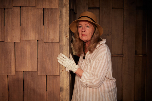 Photos: First Look at THE OUTGOING TIDE At North Coast Repertory Theatre Image