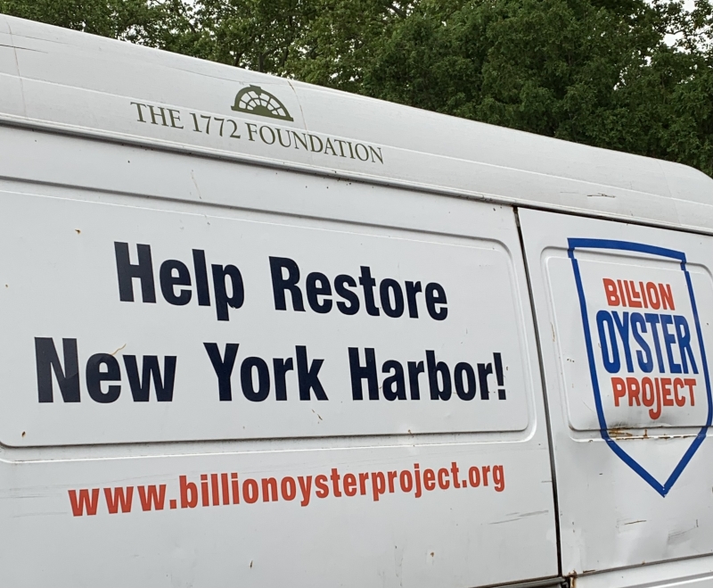 Villa Maria Wine and Billion Oyster Project Image