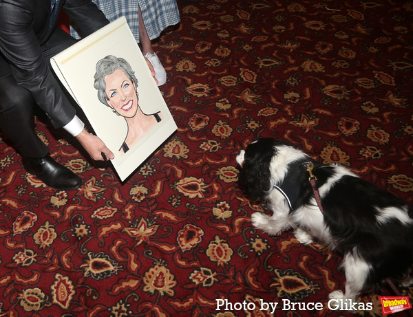 Photos: Julie White Receives Her Portrait at Sardi's Image