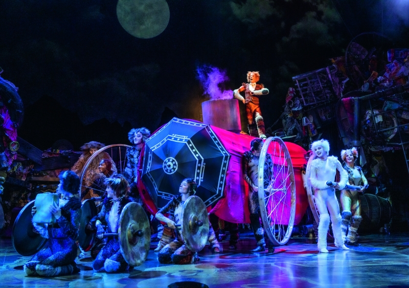 Review: CATS AND MISS SAIGON Image