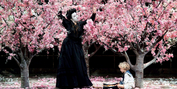 Opera Naples Hosts Exclusive Summer Opera Film Series Featuring MADAMA BUTTERFLY and More Photo